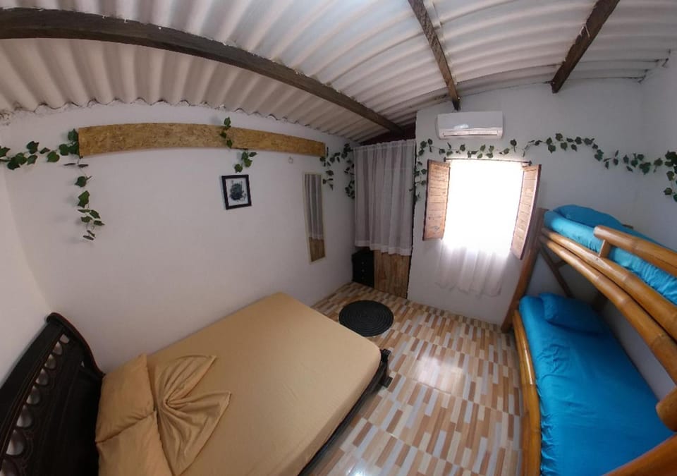 Bed, Photo of the whole room, Bedroom, bunk bed