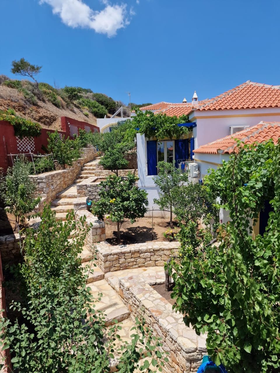 Spring, Garden, Garden, Garden view, Garden view