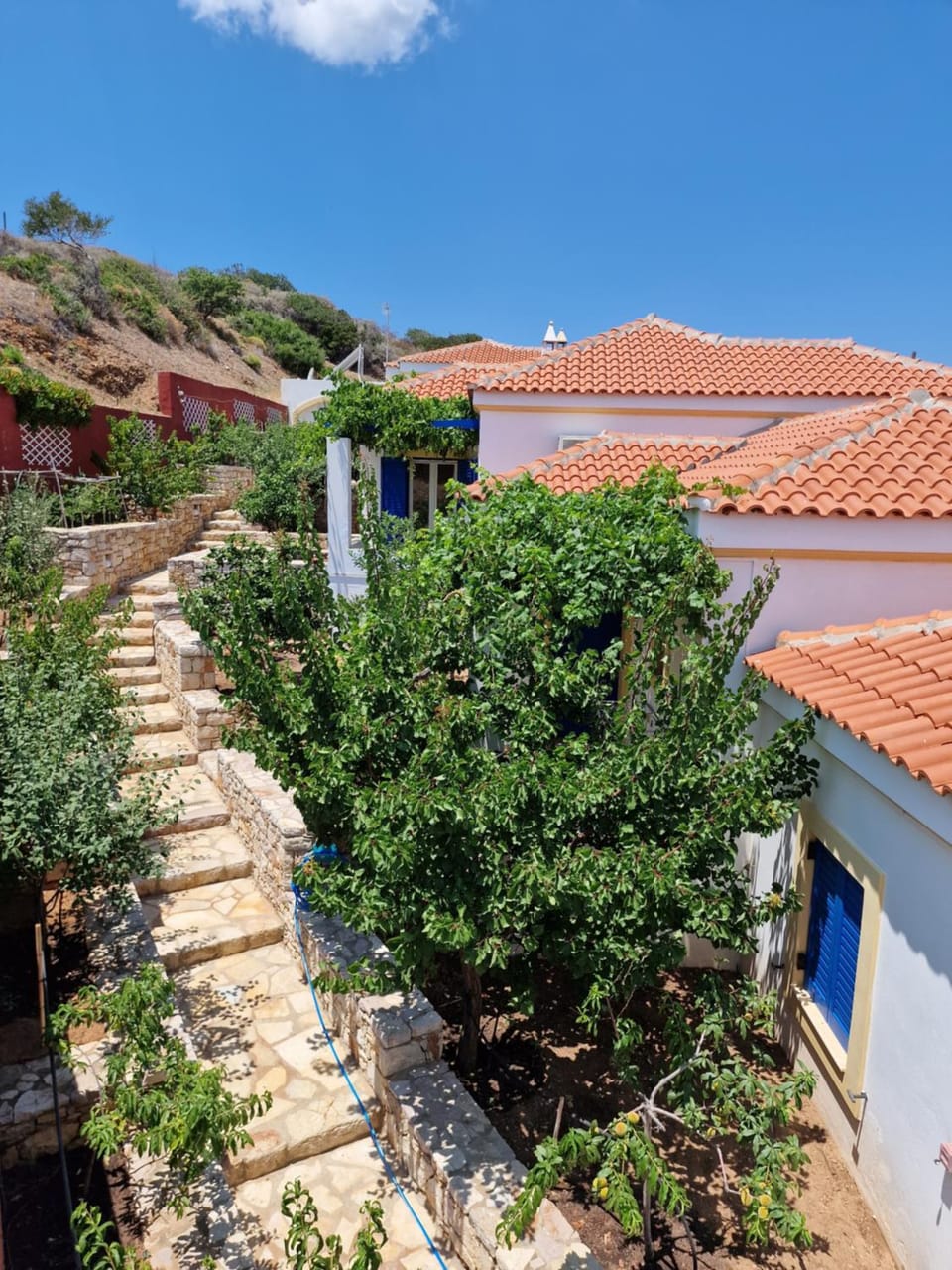 Spring, Garden, Garden, Garden view, Garden view