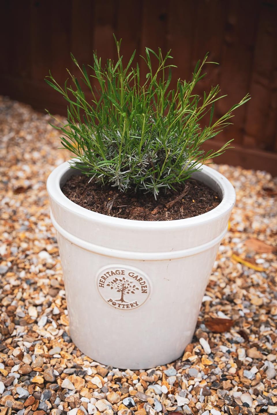 Quay Quarters House in Chichester