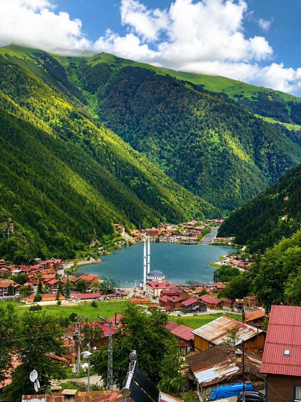 Natural landscape