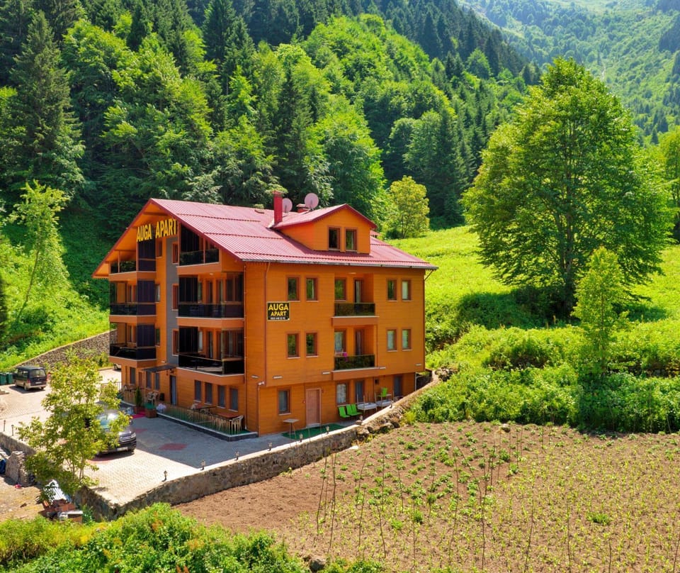 Property building, Spring, Day, Natural landscape, Garden view, Mountain view