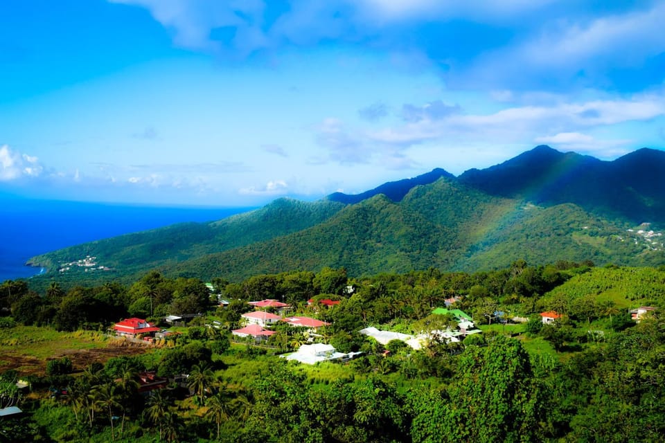 Garden view, Mountain view, Sea view