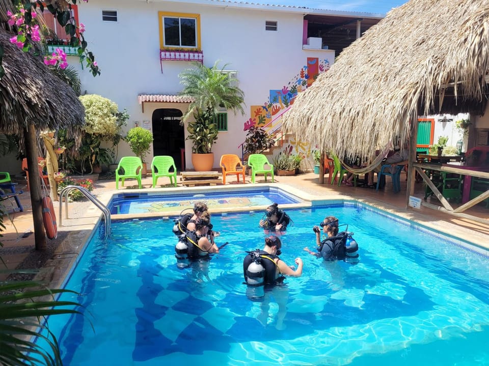 Diving, Pool view