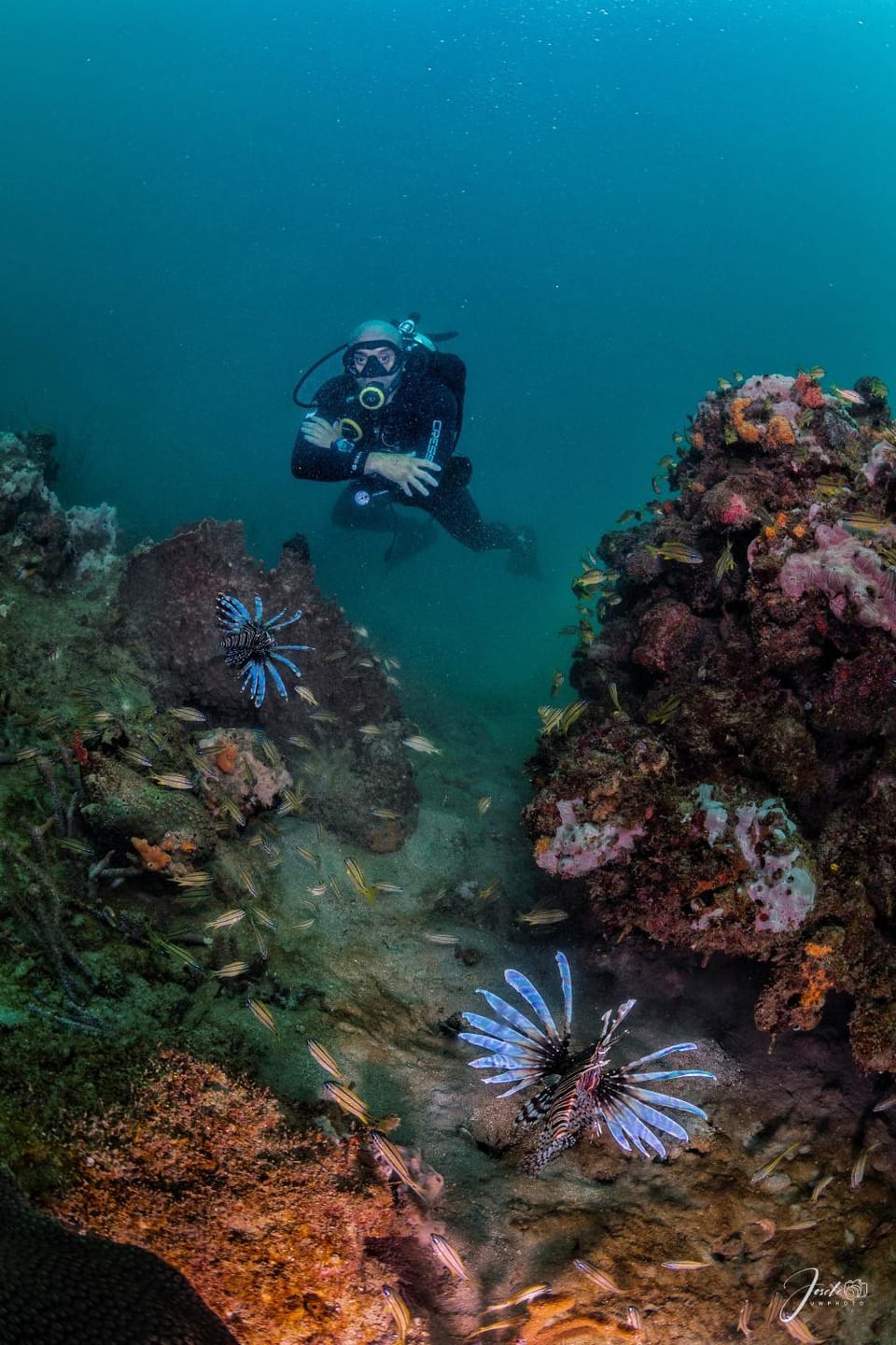 Diving