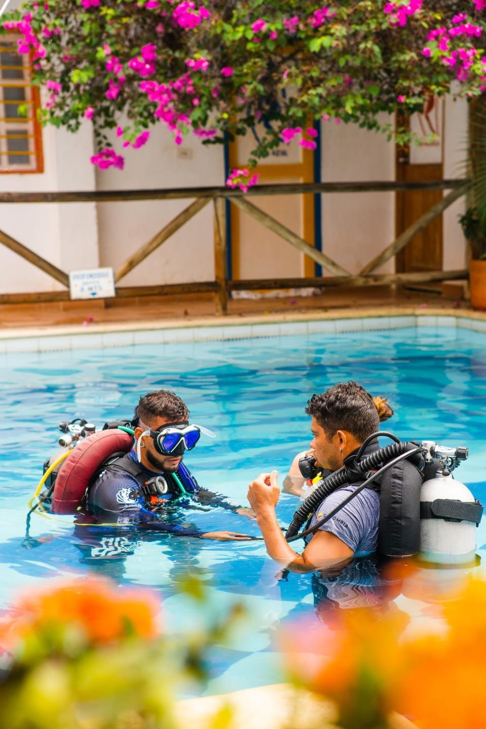 People, Diving, Swimming pool