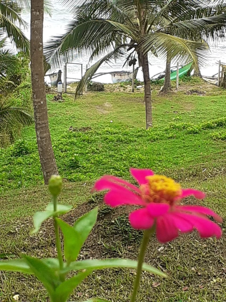 Star Beach Hotel Nature lodge in Tangalle