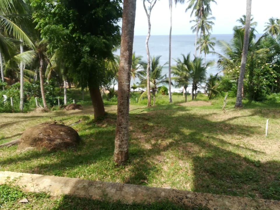 Star Beach Hotel Nature lodge in Tangalle