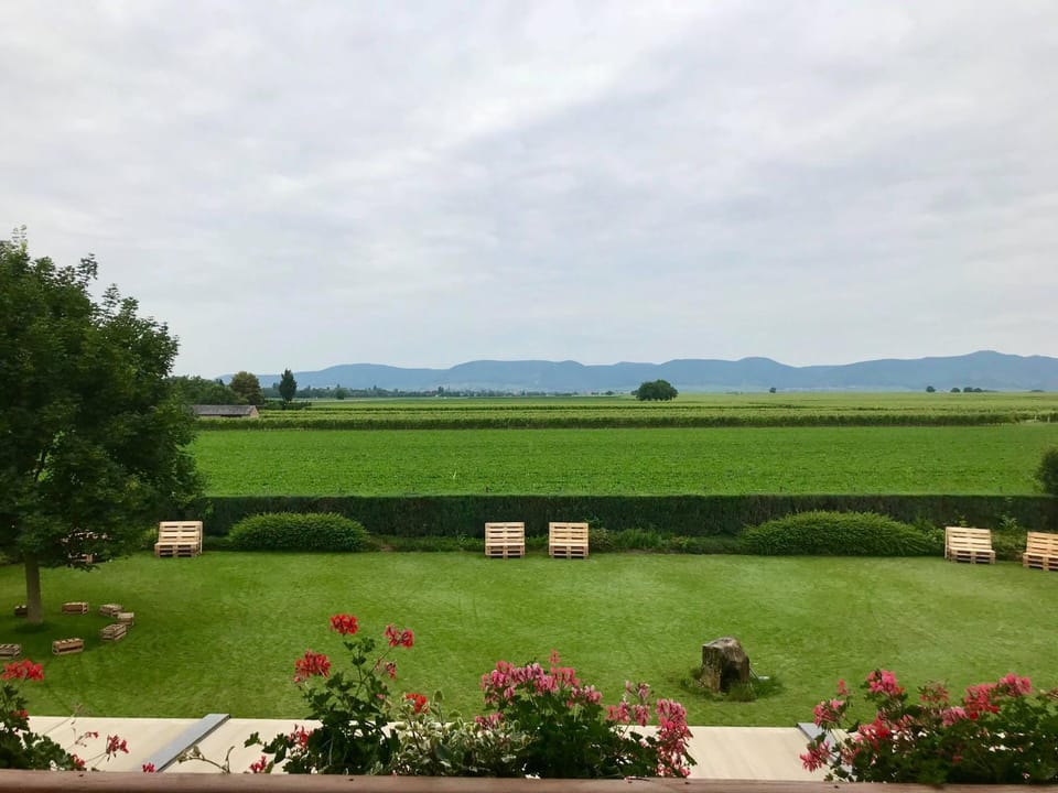 Natural landscape, Garden, Garden view