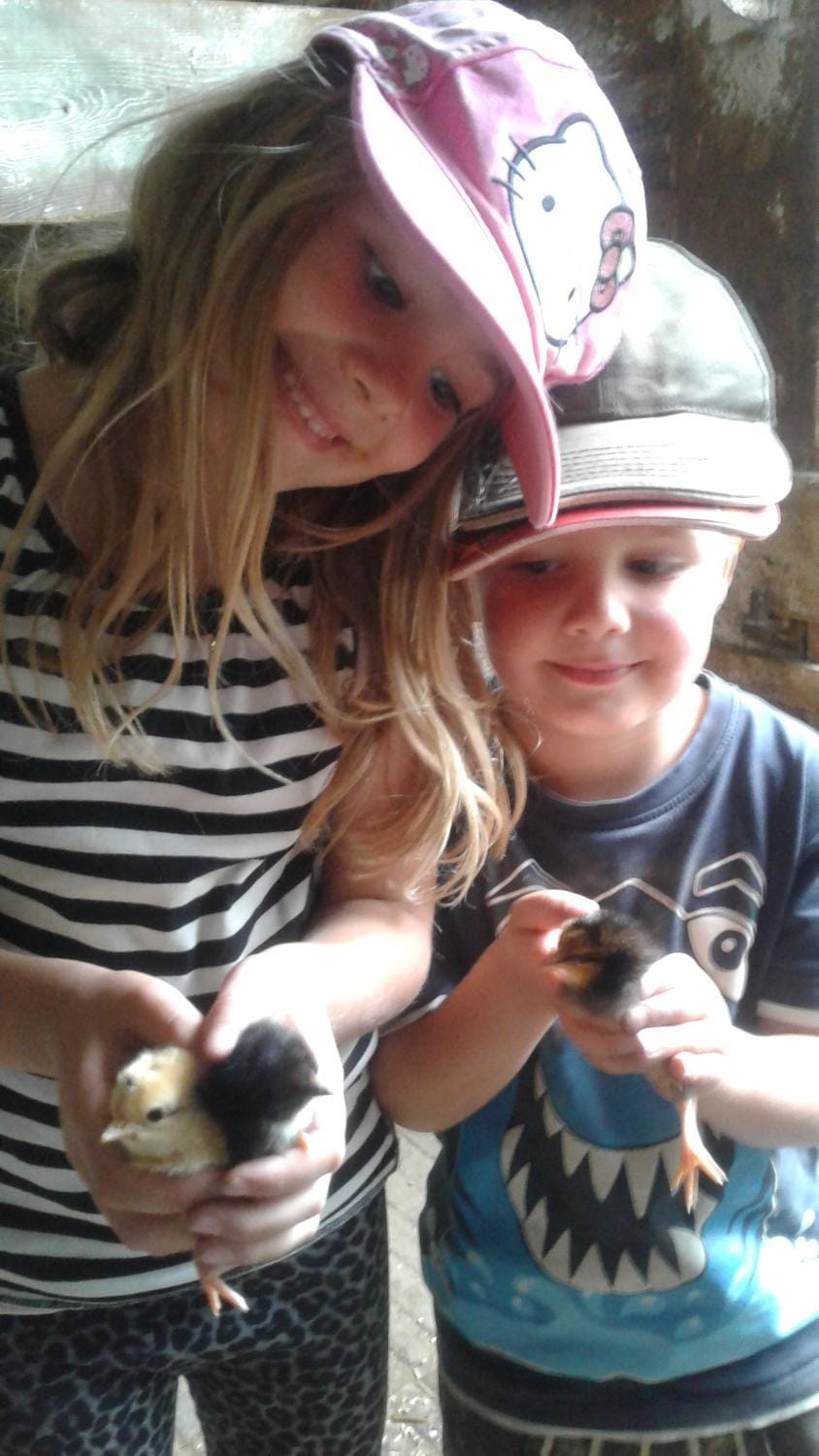 Animals