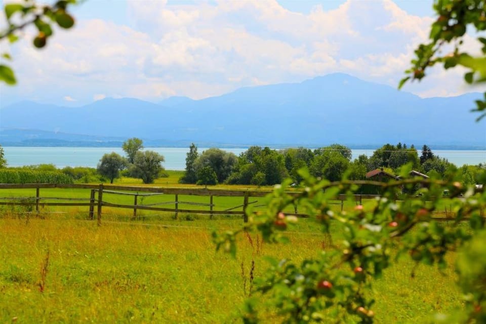 Keilhof Farm Stay in Salzburgerland