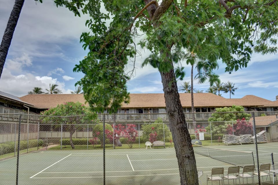 Tennis court