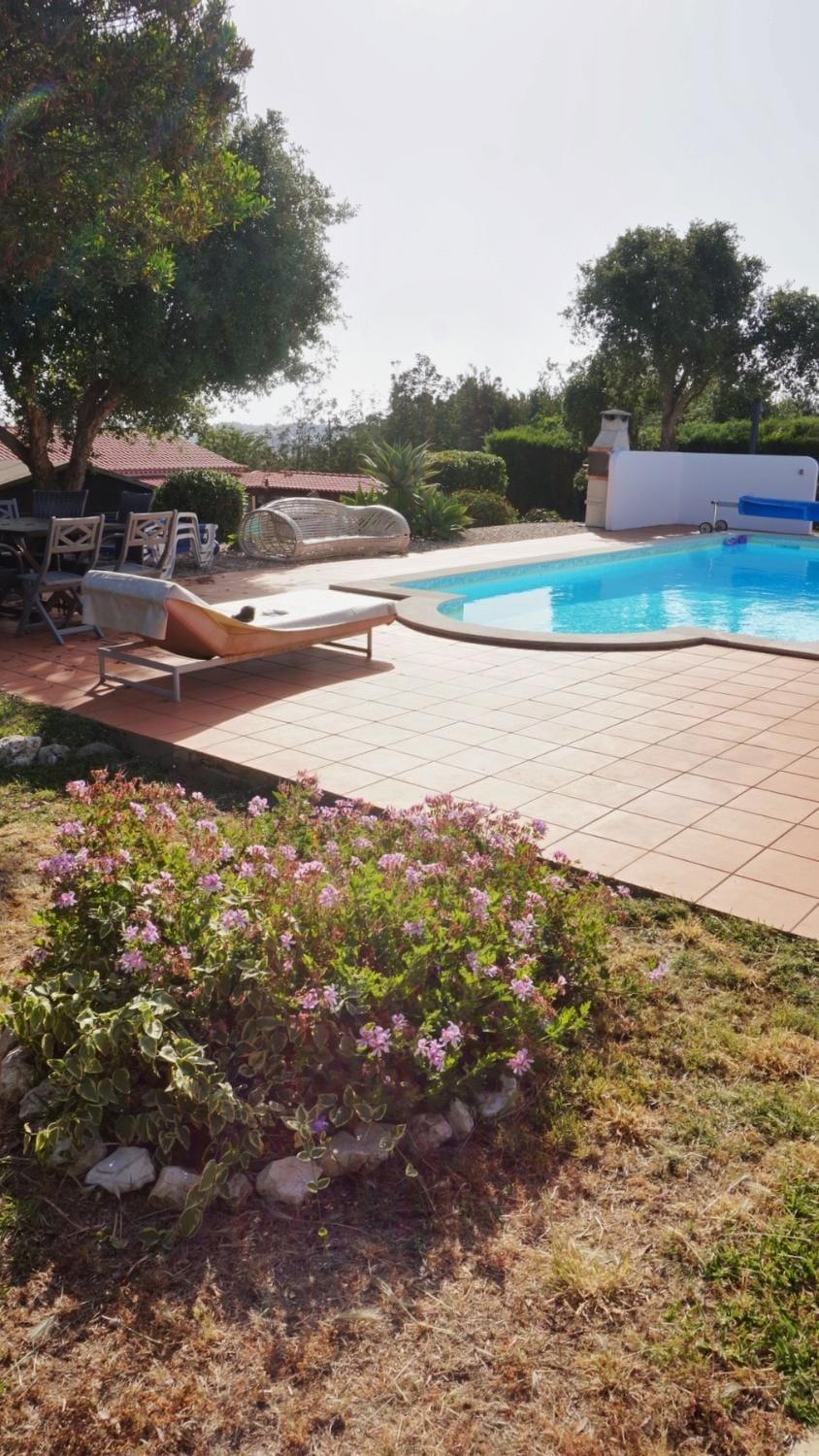 Garden, Garden view, Pool view, Swimming pool, sunbed