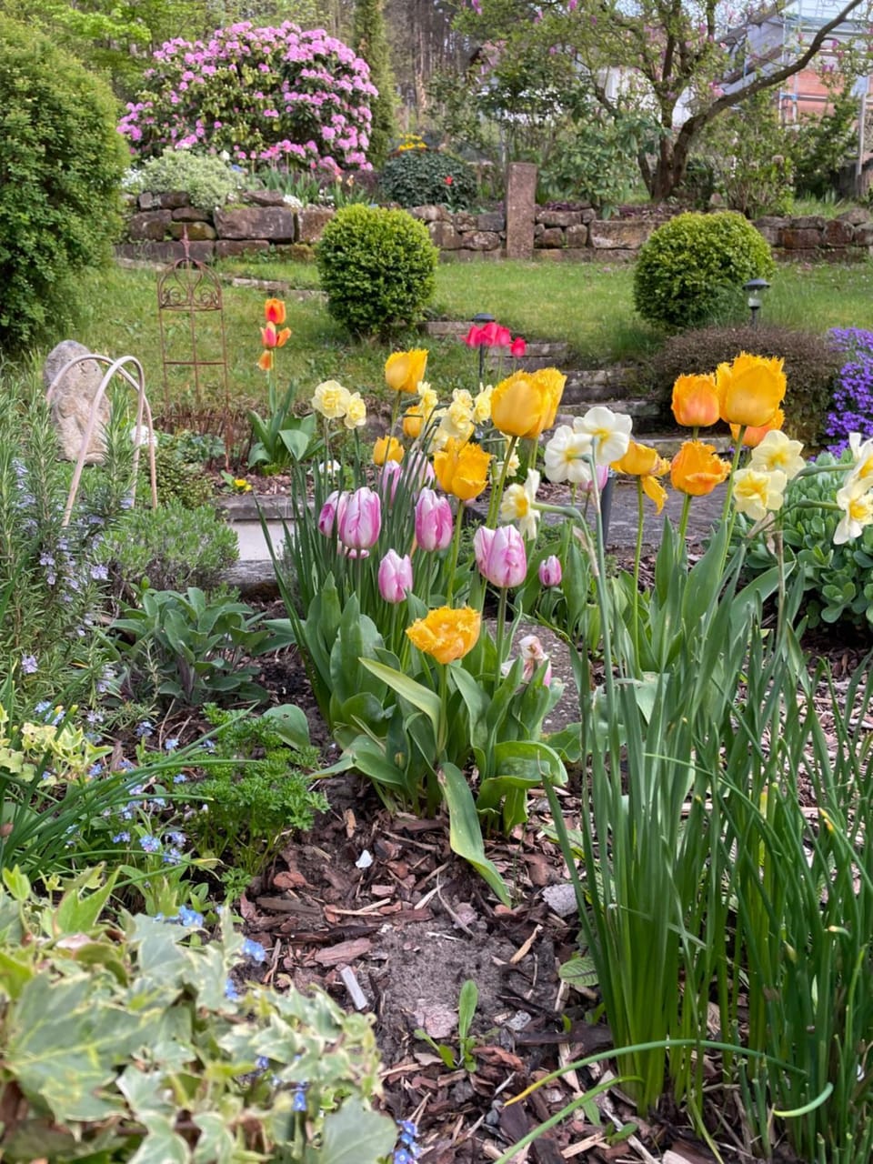 Spring, Garden view