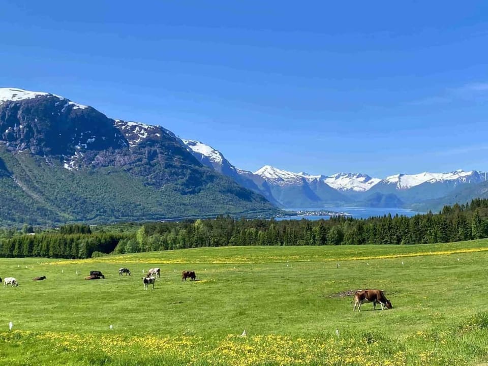 Nearby landmark, Natural landscape, Animals, Landmark view, Mountain view, Sea view
