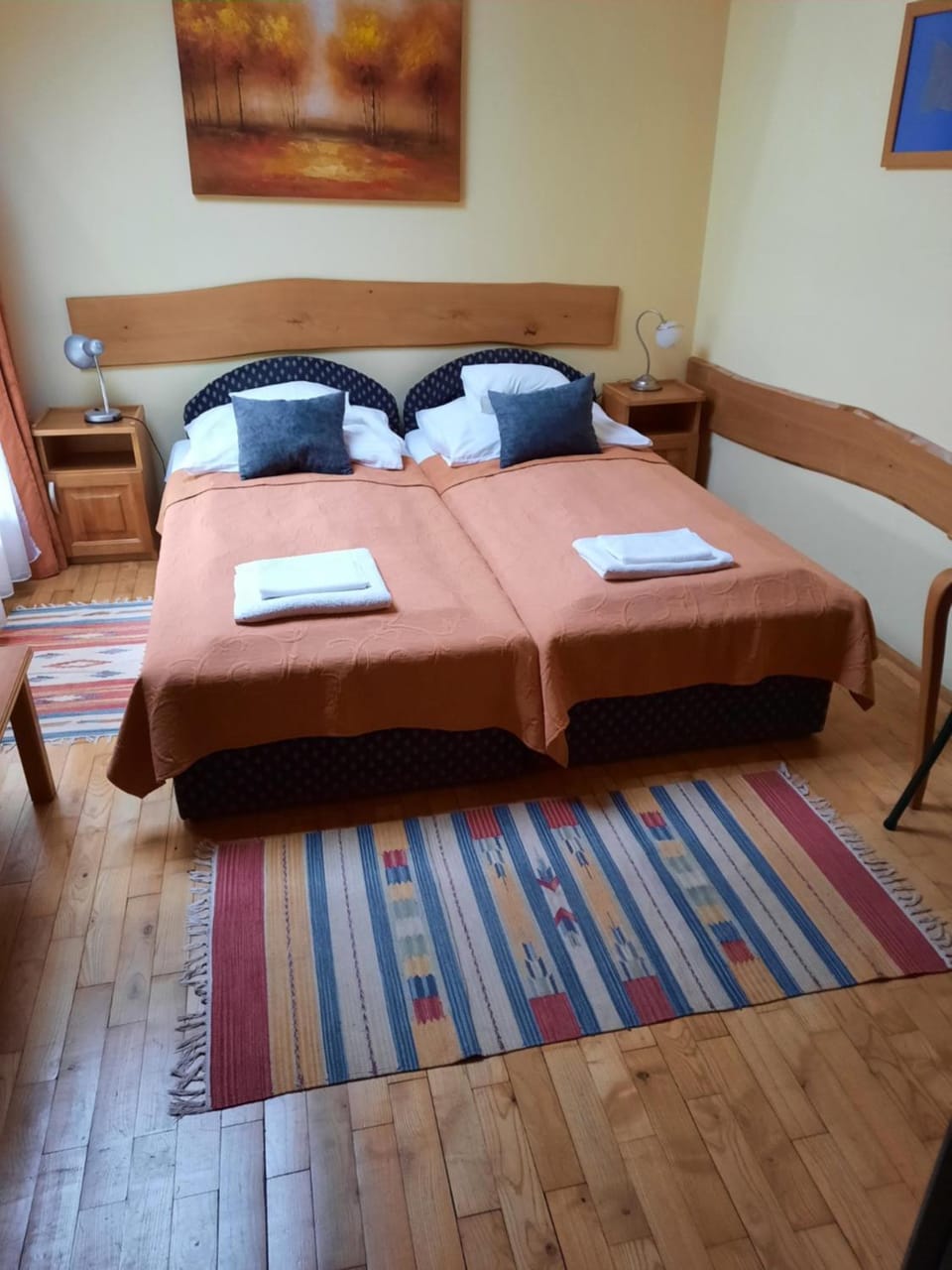 Hotel Diána Hotel in Hungary
