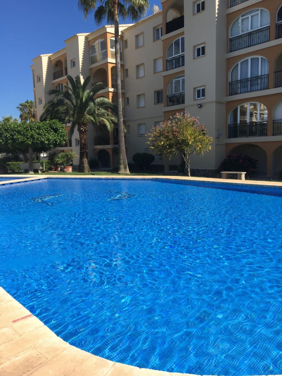 Swimming pool, Swimming pool