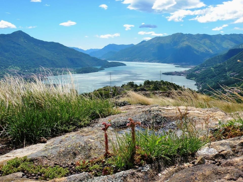 Natural landscape
