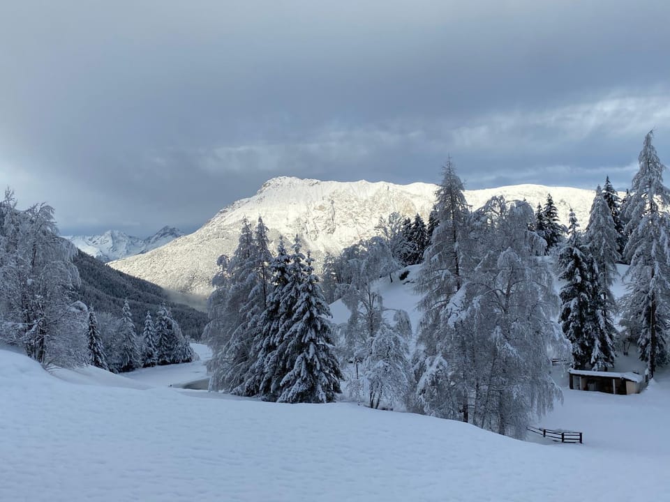 Chalet Astrid Chalet in Tyrol