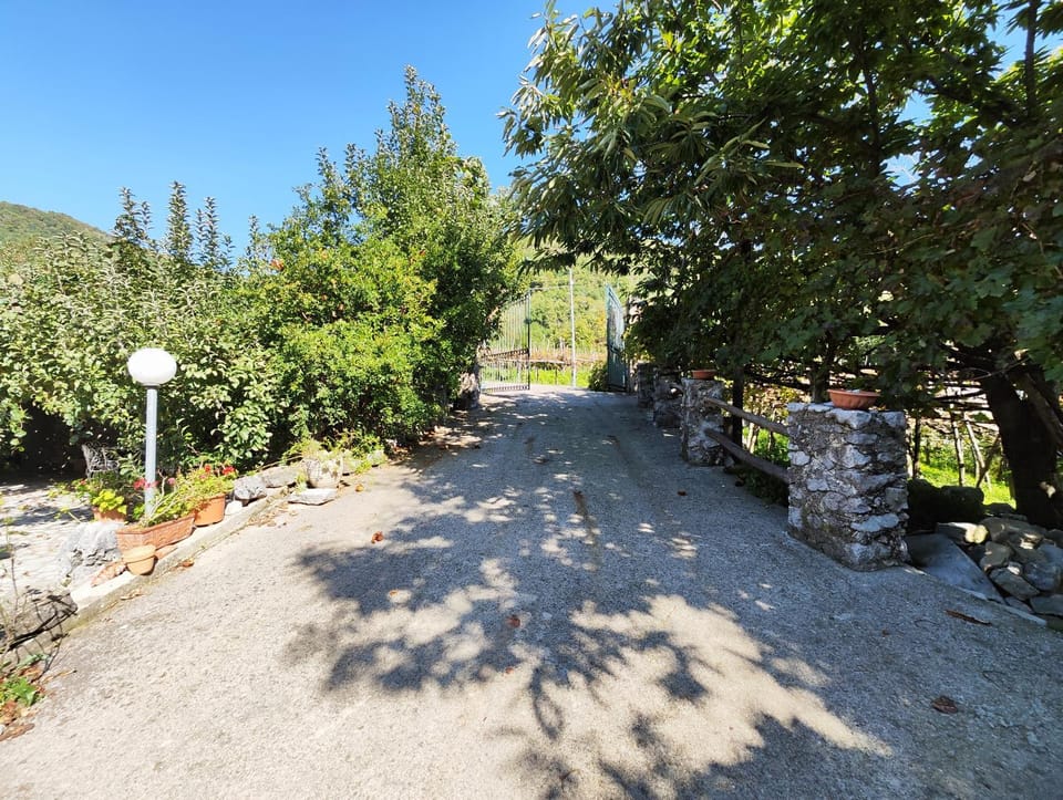 Il Vigneto Villa in Campania