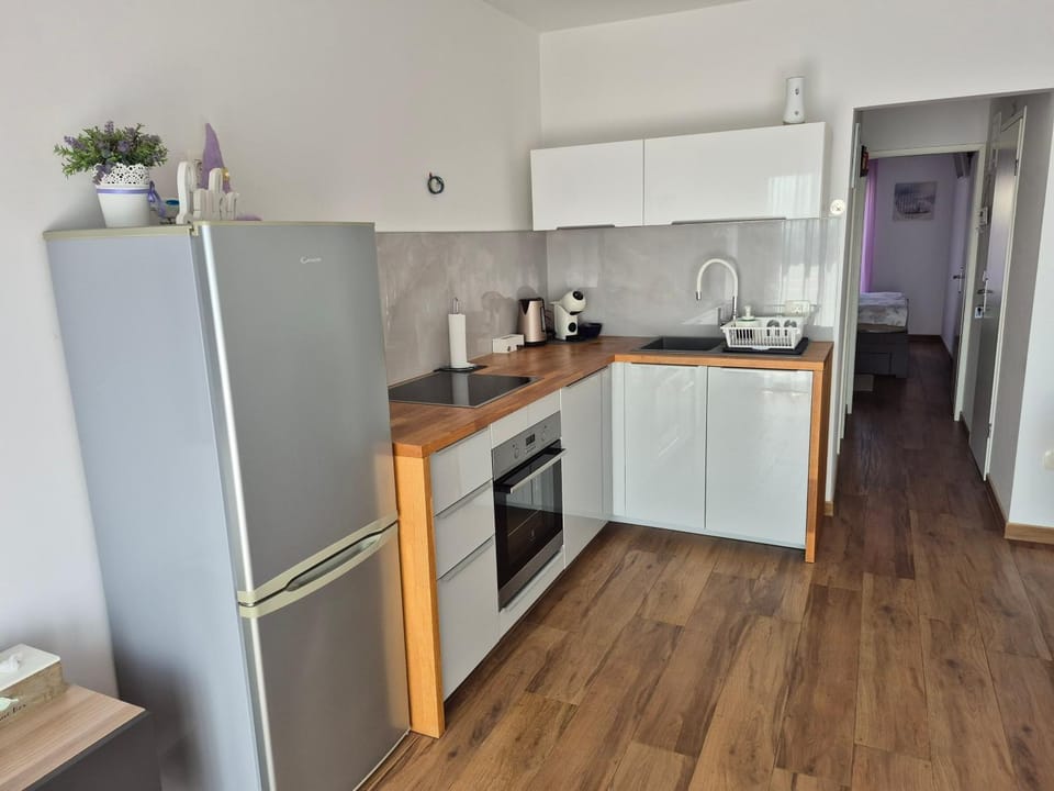 Apartman Luka Apartment in Novigrad