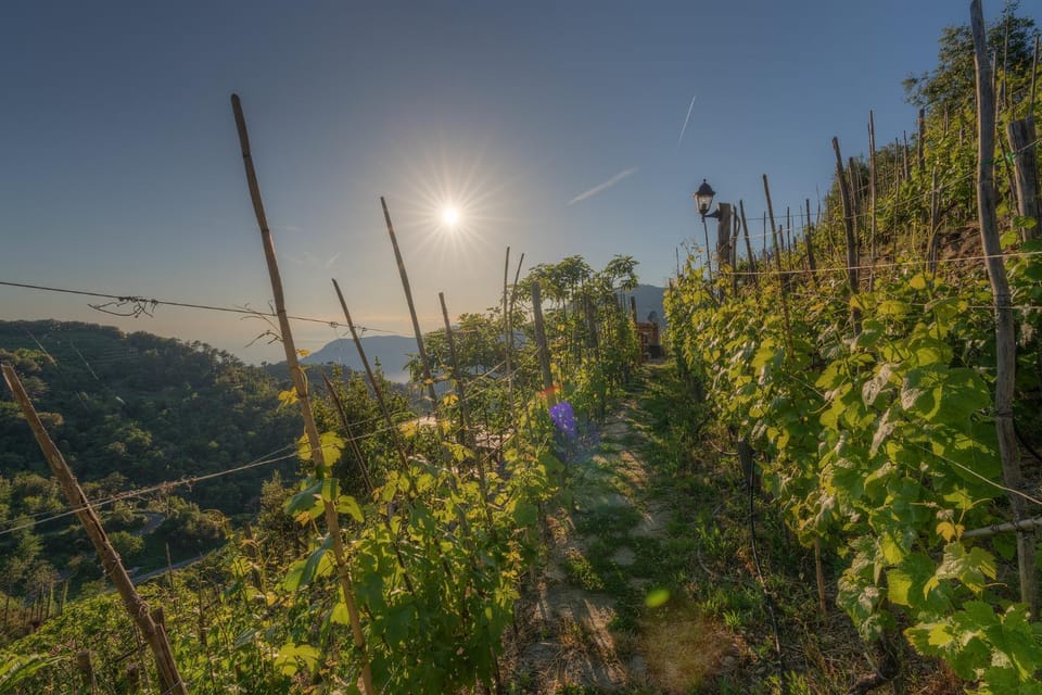 Natural landscape, Hiking