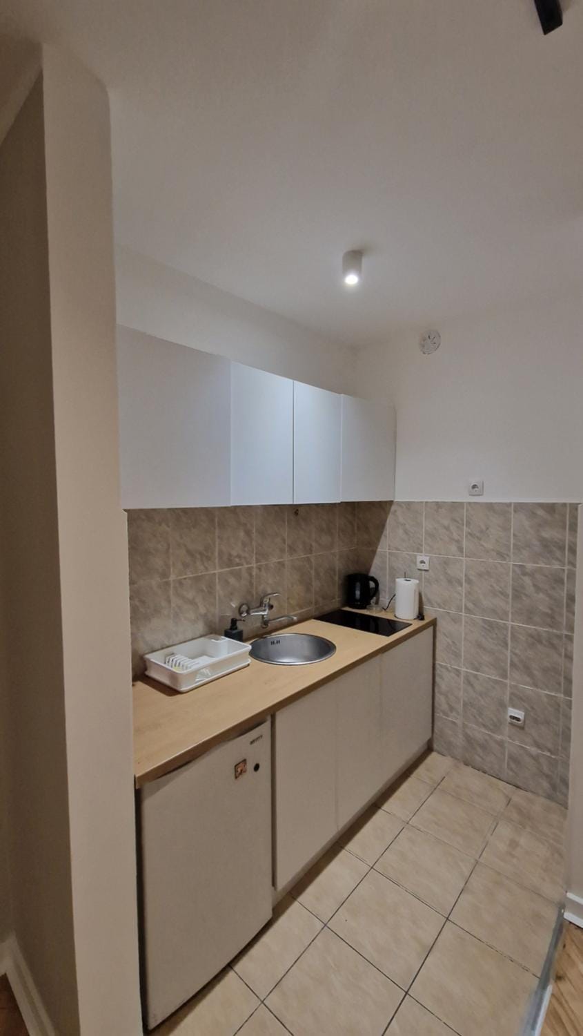 King apartment Apartment in Novi Sad