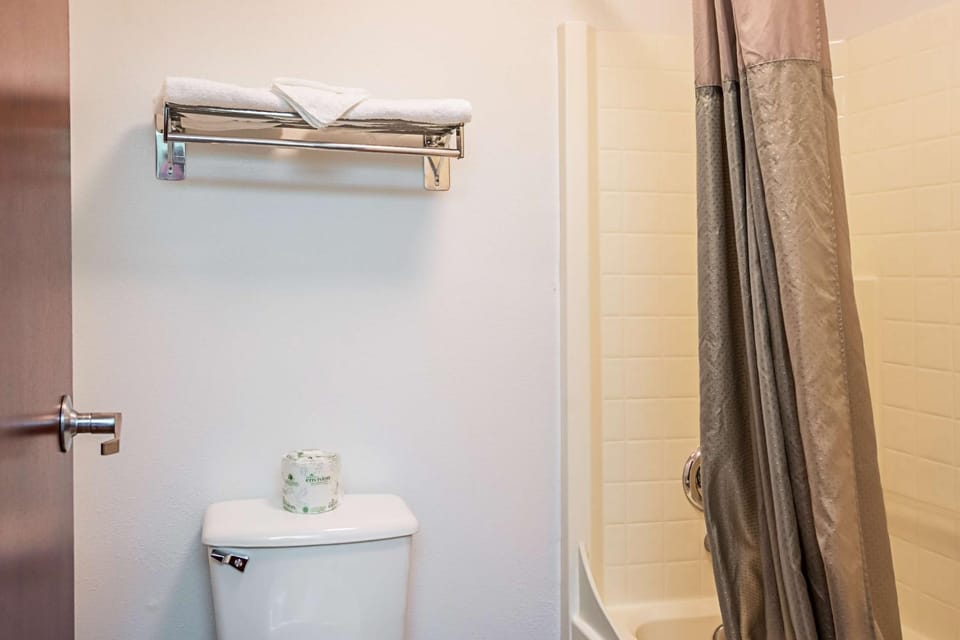Shower, Toilet, Bathroom, Photo of the whole room, On site
