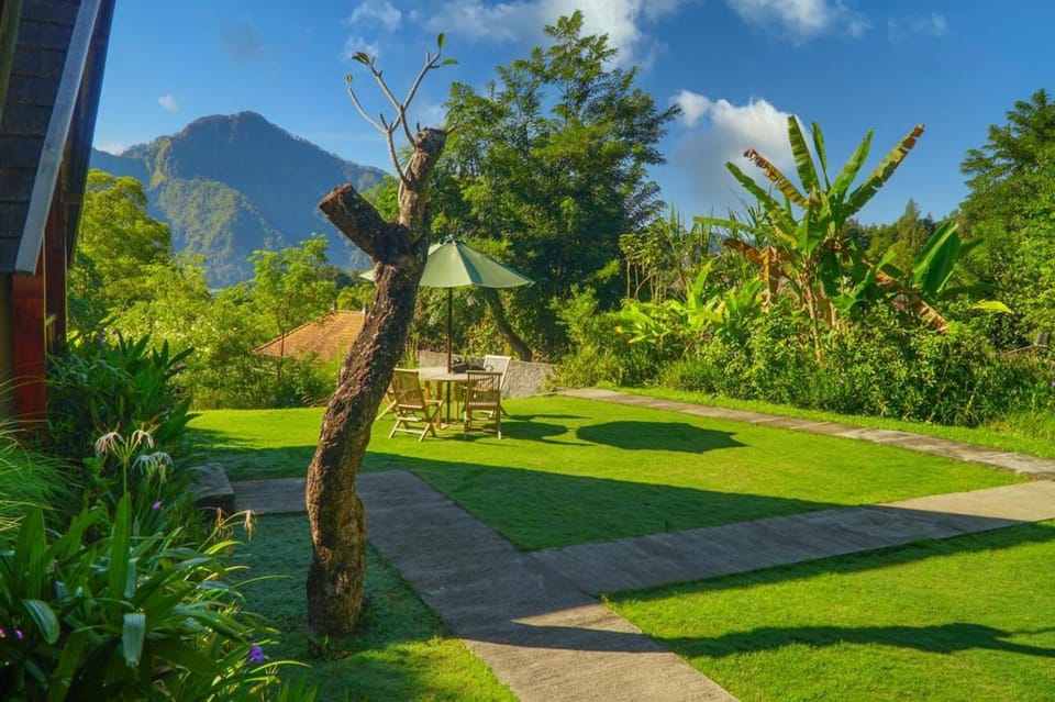 Day, Natural landscape, Garden, Garden view, Mountain view