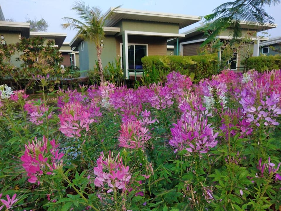 Green Two Resort Resort in Thailand