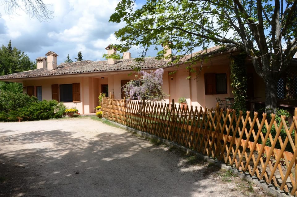 Property building, Garden, Other, Pets