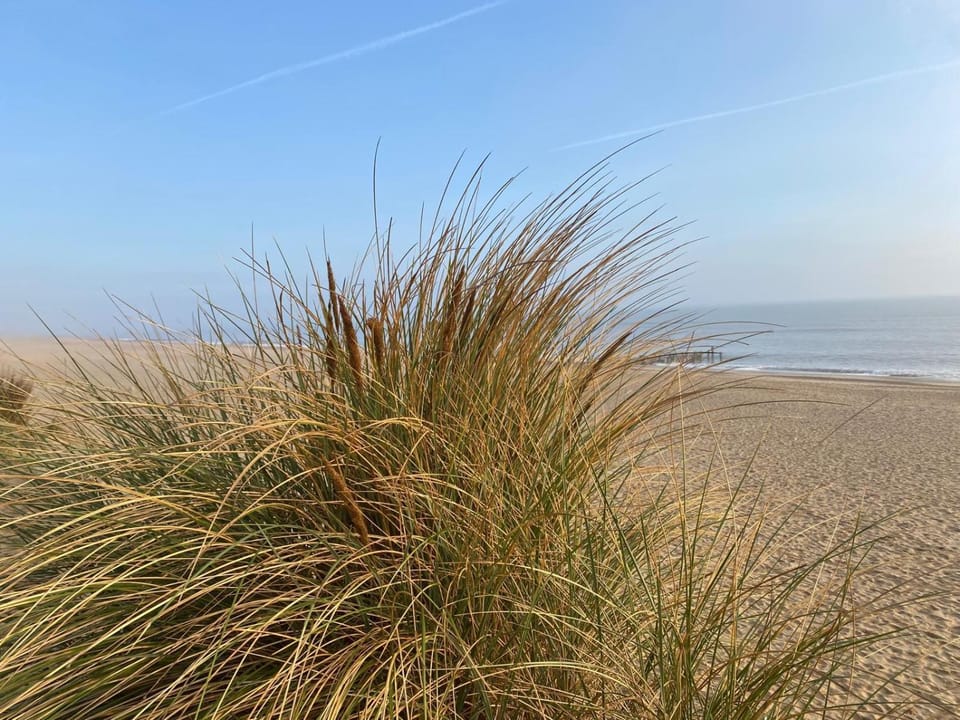 Happydaze Caravan Campground/ 
RV Resort in North Norfolk District