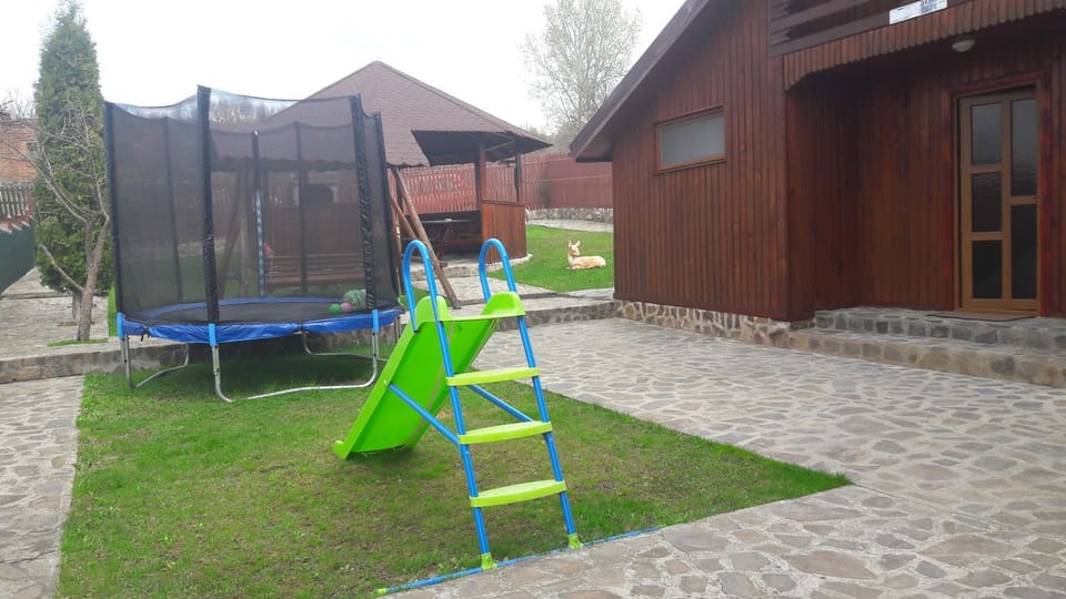 Pensiunea Nicol Bed and Breakfast in Romania