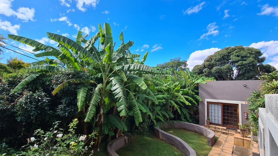 Property building, Garden view