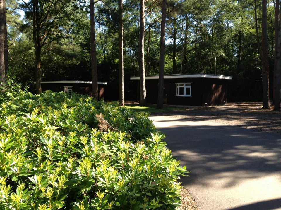 Property building, Natural landscape