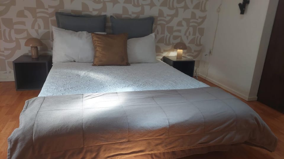 Comfort in the Downtown Apartment in Porto