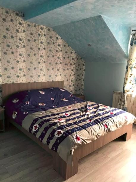 Vila Maria House in Romania