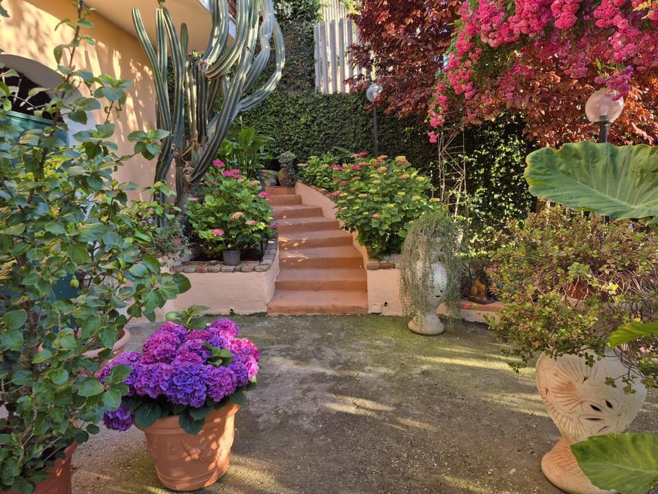 Garden, Garden view
