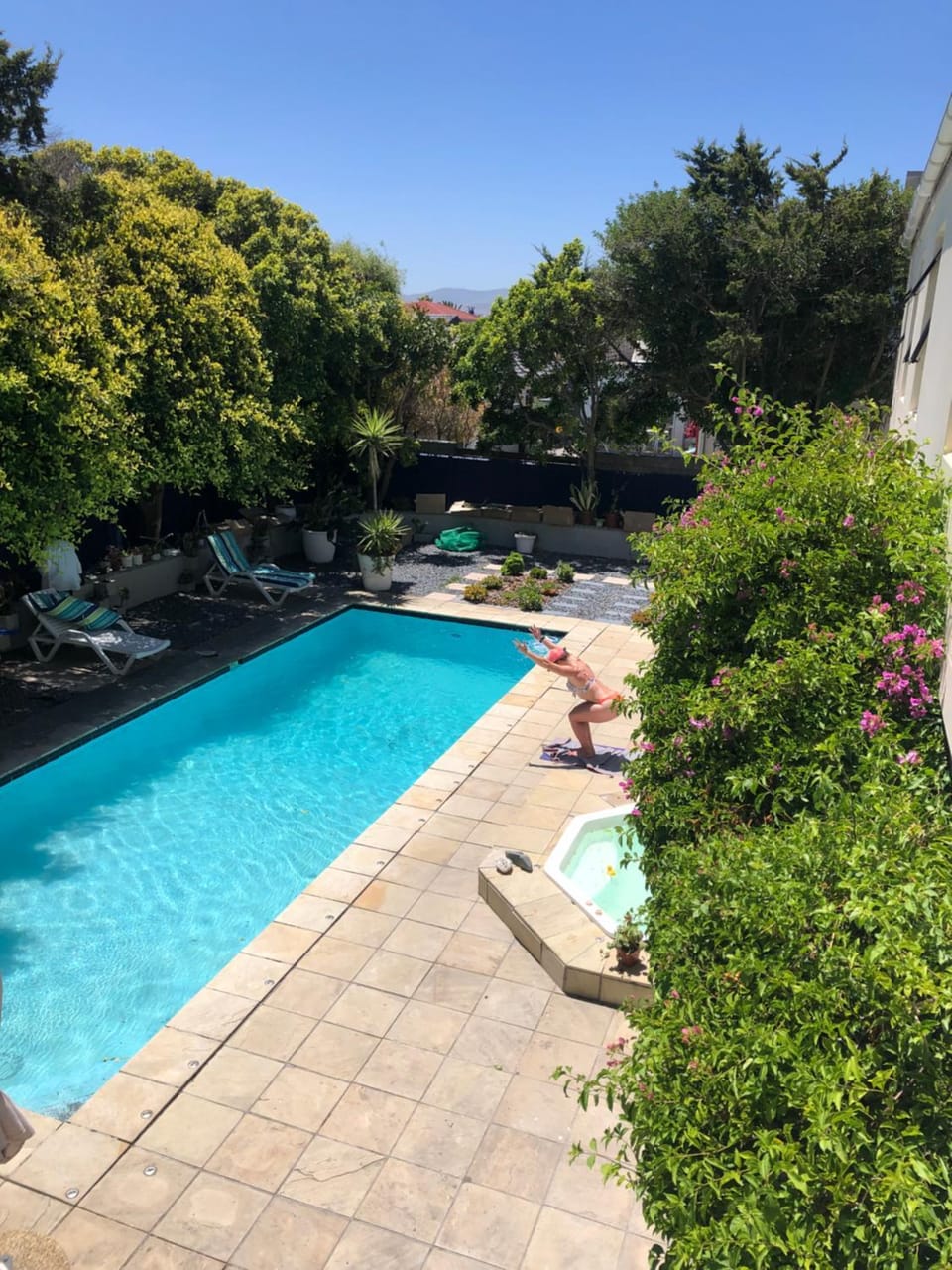 Garden, Garden view, Swimming pool