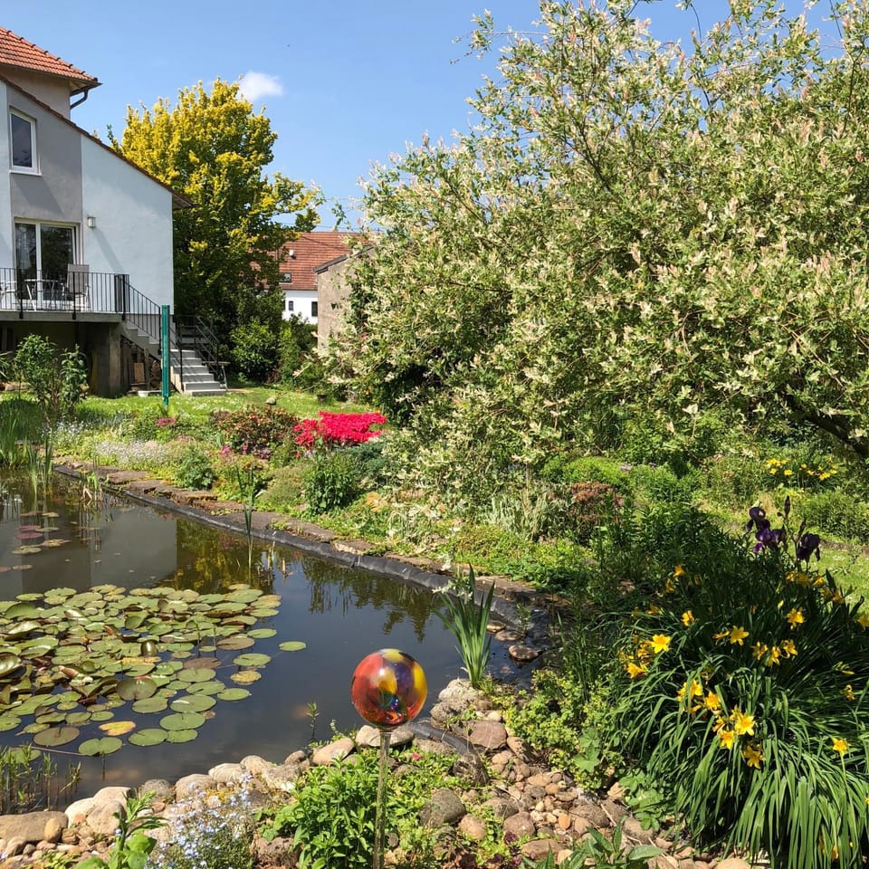 Facade/entrance, Spring, Summer, Garden, Garden view