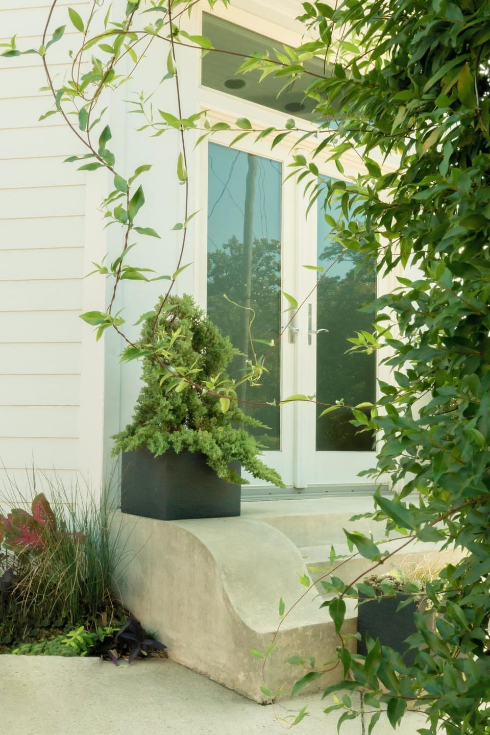 Property building, Facade/entrance