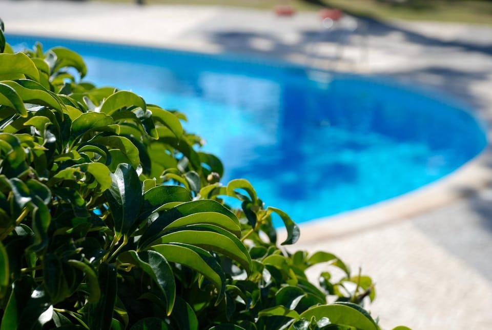 On site, Pool view, Swimming pool
