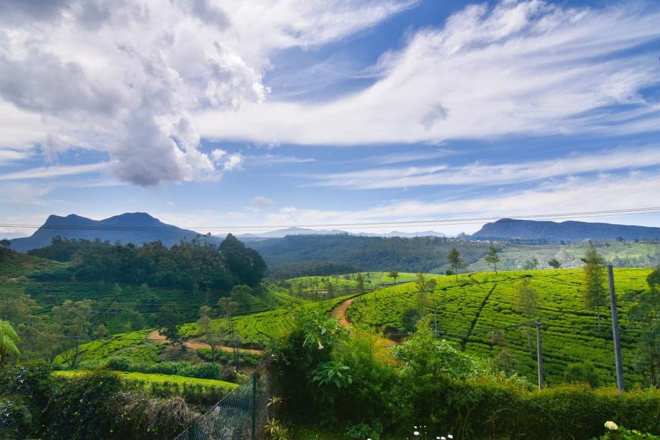 Mountain view