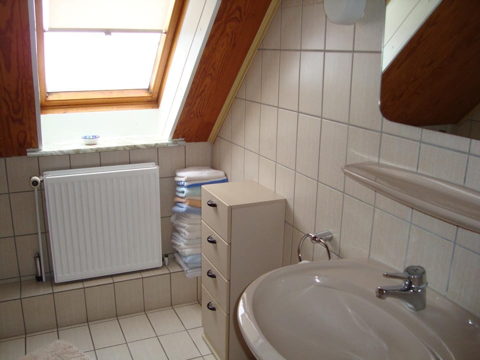 Shower, Toilet, Day, Bathroom, Photo of the whole room, Decorative detail, Decorative detail