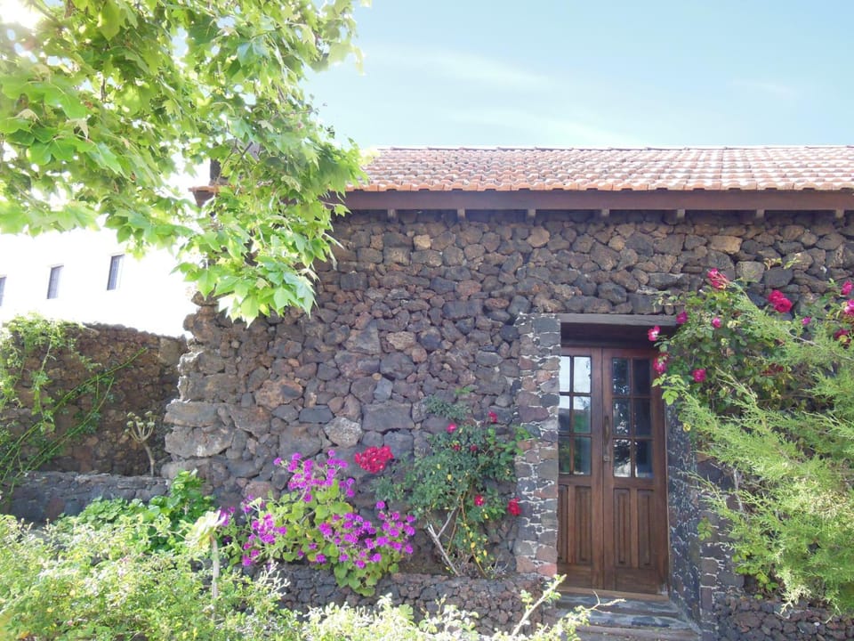 Property building, Facade/entrance, Garden