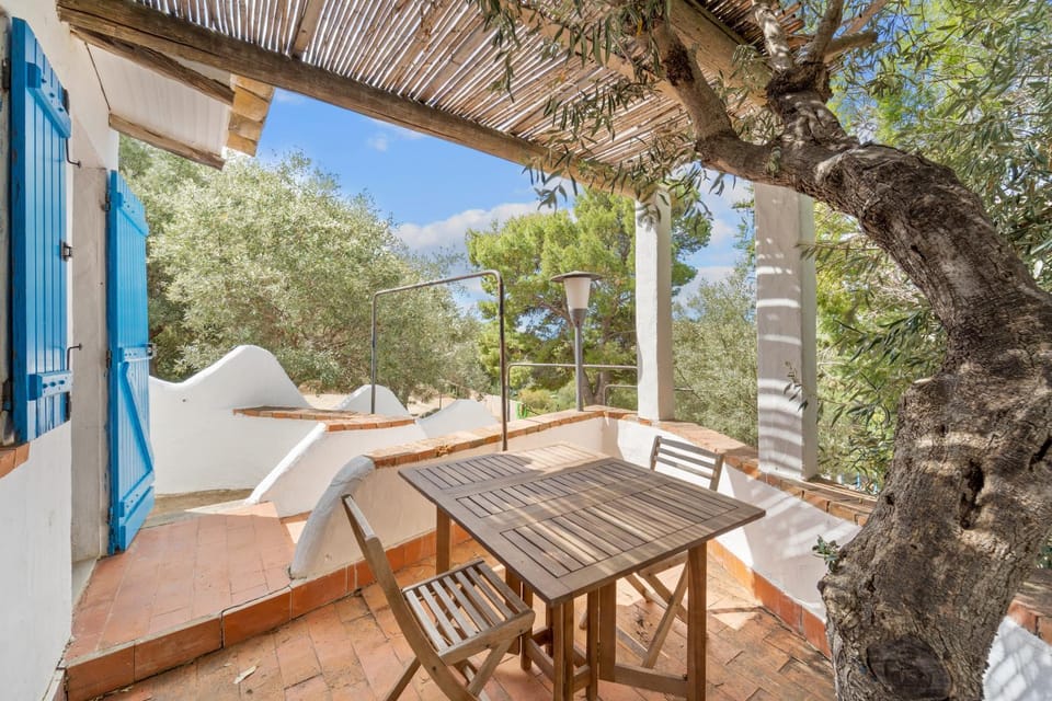 Garden, Balcony/Terrace