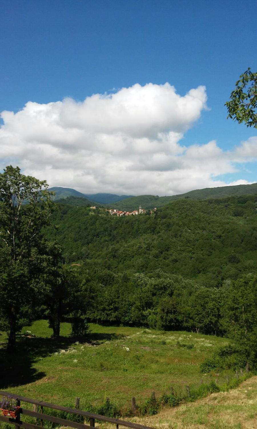 B&B Podere Bramapane House in Province of Massa and Carrara