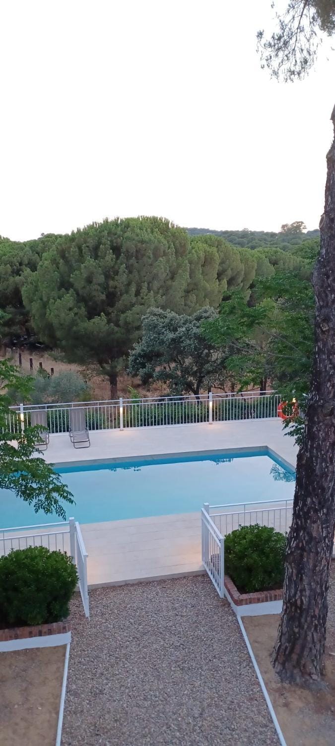 Pool view
