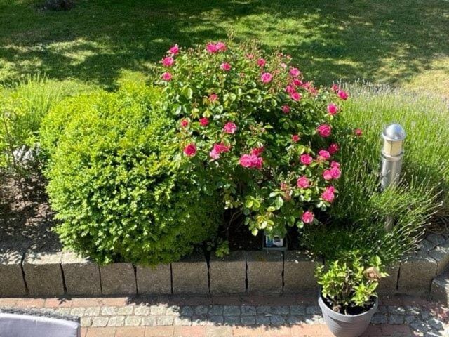 Haus Antje Apartment in Scharbeutz