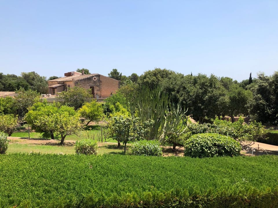 Garden view